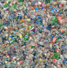 L’impact du plastique sur l’environnement