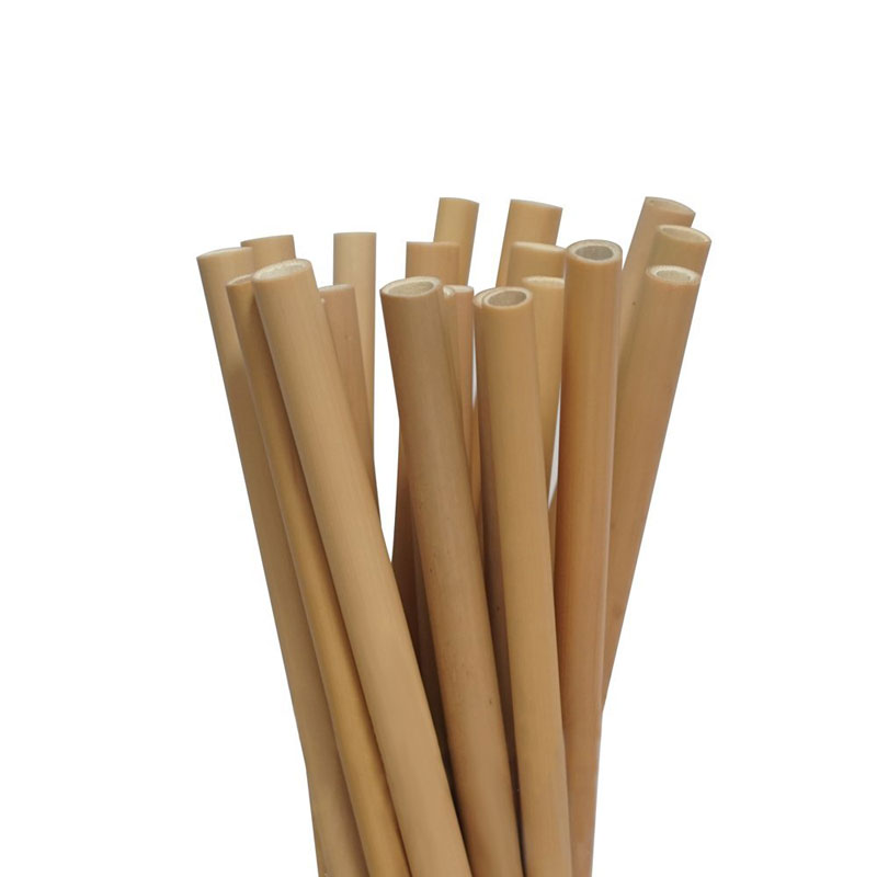 Paille Jetable en Fibre de Bambou L 19,7 cm Ø 0,08 cm - Natural Bambou Pas  Cher