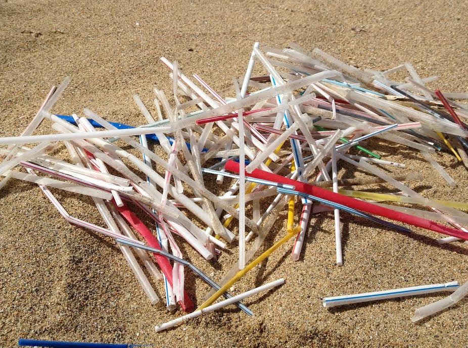 Optons pour les pailles réutilisables pour éviter que les pailles en plastique ne se retrouvent dans la nature