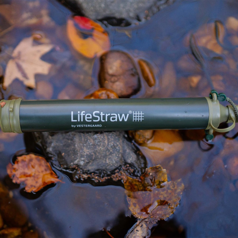 Paille filtrante de la marque de filtration d'eau Lifestraw
