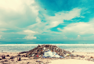 océan pollution déchets